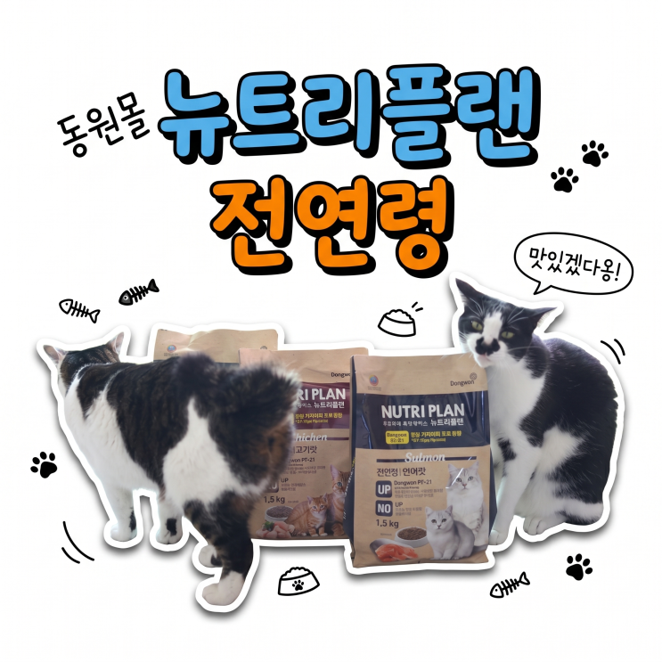  입짧은 고양이도 한번에 먹어줬다 | 뉴트리플랜 전연령 플러스 솔직 후기