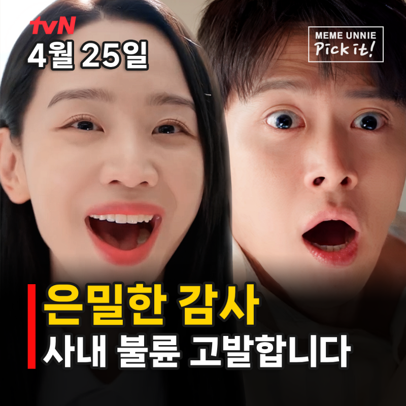 은밀한 감사 풍기문란 로맨스 신혜선x공명 등장인물 몇부작 OTT 관전포인트