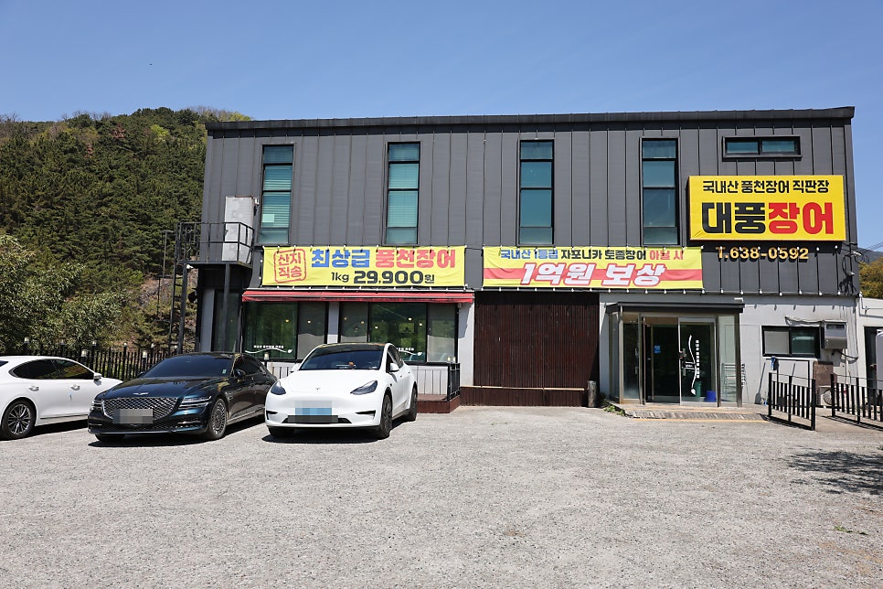 대풍장어 사진 3