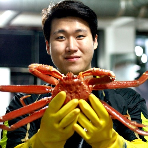  집에서 즐기는 수산물 파티 우니 대게 새우장 3종 솔직 비교 후기
