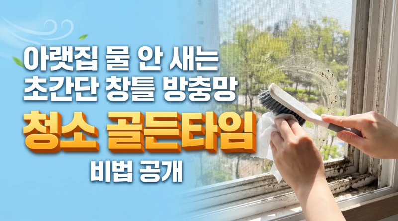 아랫집 민원 없이 끝내는 방충망 청소 전문가의 1,000원 비법