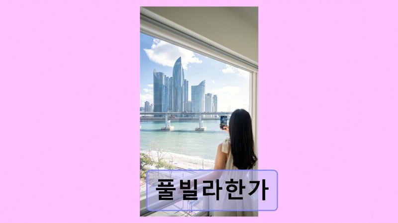 사진 3