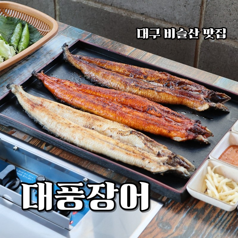 대풍장어 사진 2