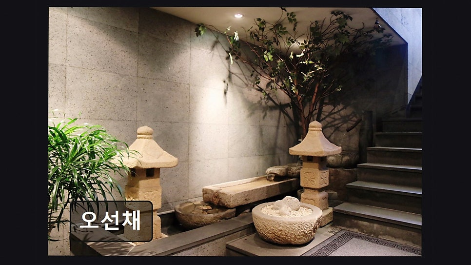 오선채 사진 2
