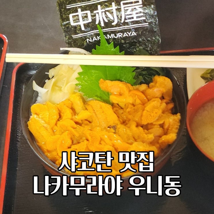  샤코탄 우니동 카이센동 맛집 나카무라야 위치 가격 시간
