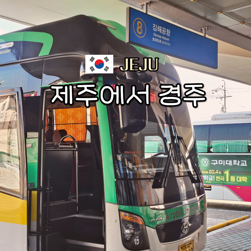 제주에서 경주 가는 법 포항경주공항 vs 김해공항 버스 요금 시간표