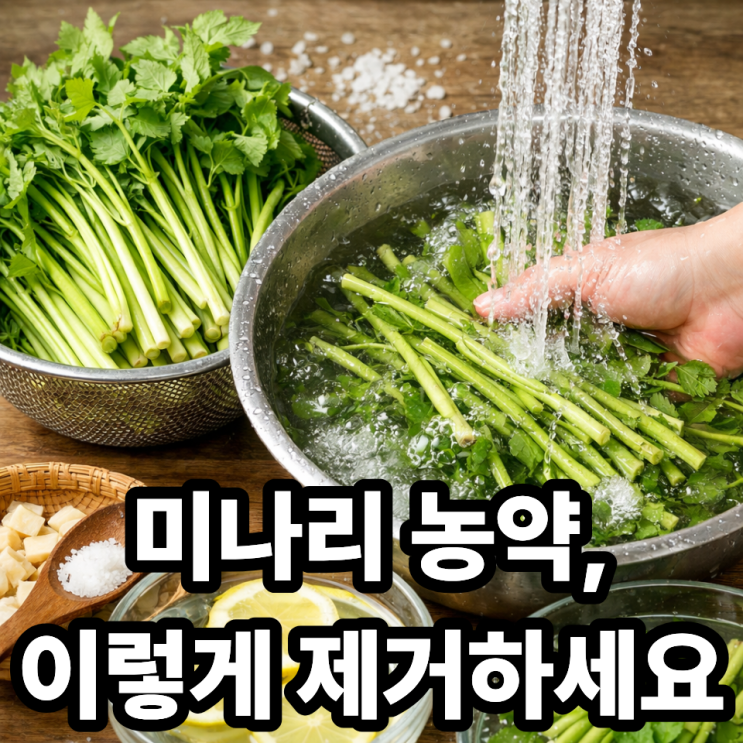  미나리 농약 제거 방법, 깨끗하게 세척하는 법 (안전하게 먹는 핵심 팁)