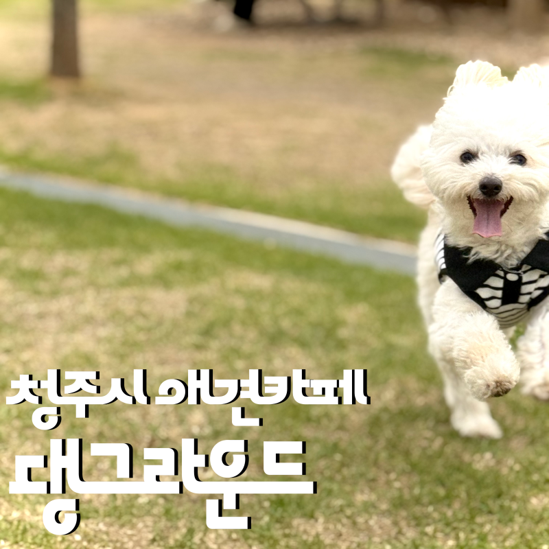 사진 5