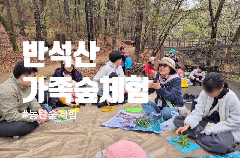 동탄숲체험 반석산 가족숲체험 후기｜동탄아이랑 프로그램 추천