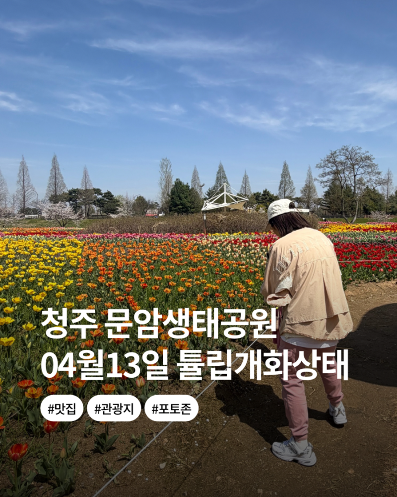 사진 6