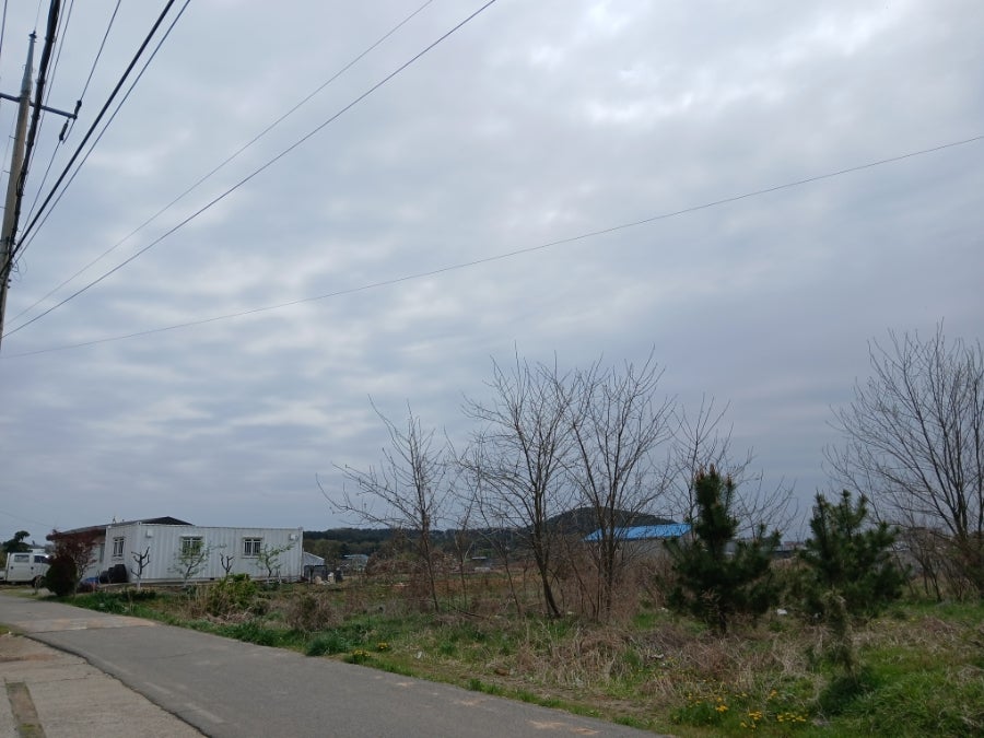 대웅이네집 사진 1