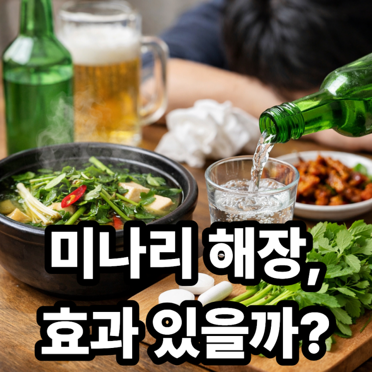  미나리 해장 효과, 숙취 해소에 진짜 좋을까? (과학적으로 확인해보자)