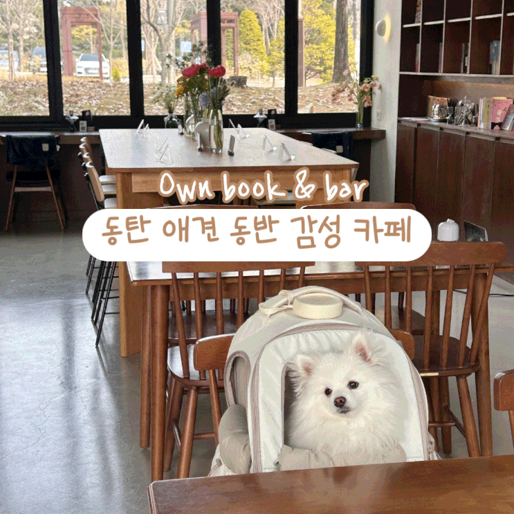  낮에는 브런치 카페 밤에는 와인바 애견 동반 가능한 동탄 오운북앤바