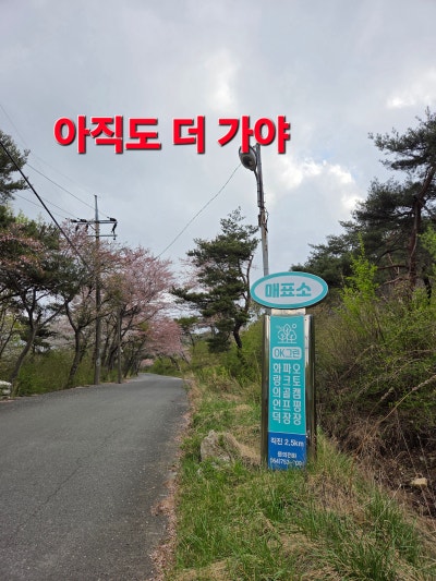 사진 6