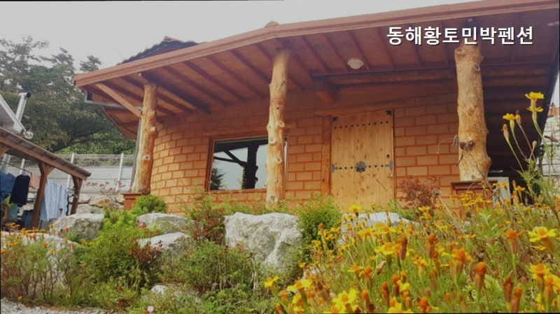 사진 5
