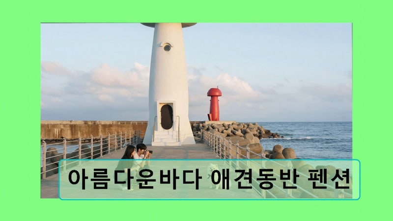사진 3