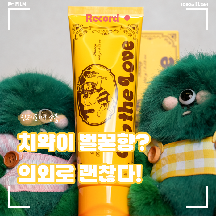  노홍철 치약 진짜 괜찮을까? 노더럽 치약 벌꿀향 내돈내산 후기