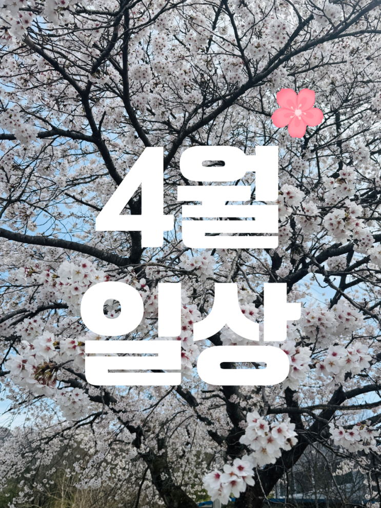  소소한 4월 일상 모음 ZIP〰️