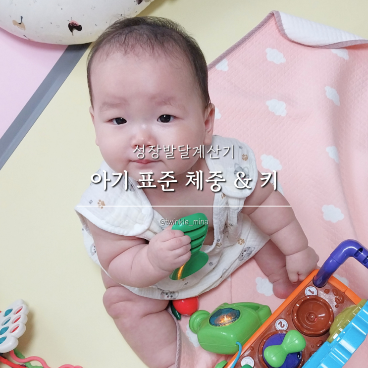  신생아 아기 성장발달계산기 표준체중 표준키 알아보기