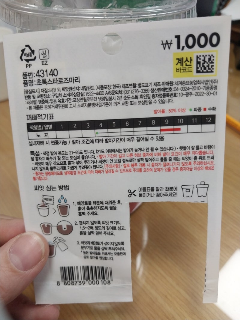 다이소씨앗 로즈마리 키우기 (결과, 실패함)