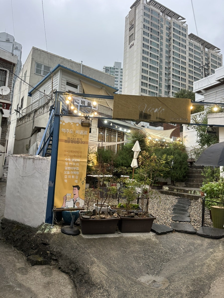 비꼴로 사진 1