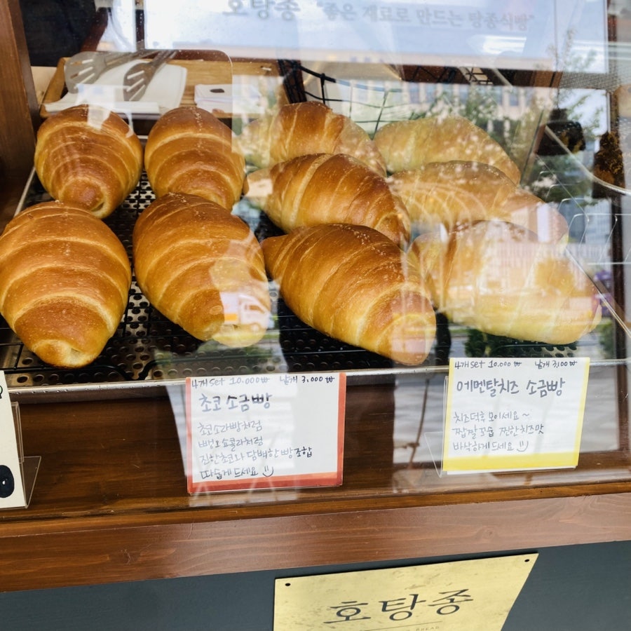 호탕종 사진 1