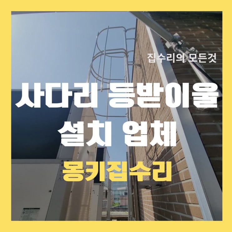  사다리 등받이울 설치, 방호울 맞춤제작 부착 시공