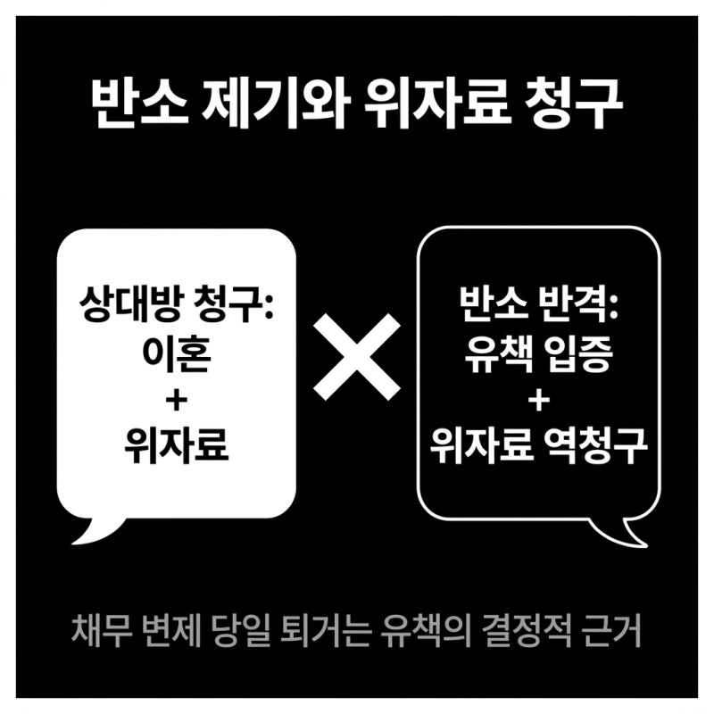 4300만 원 갚은 당일 쫓겨난 남편의 반격 관련 이미지 6