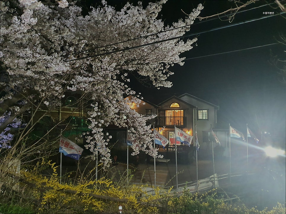 수원지펜션 사진 5