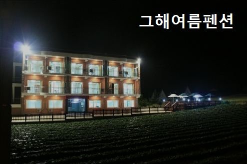 그해여름펜션 사진 1