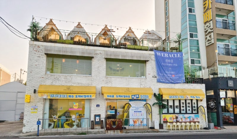 사진 5