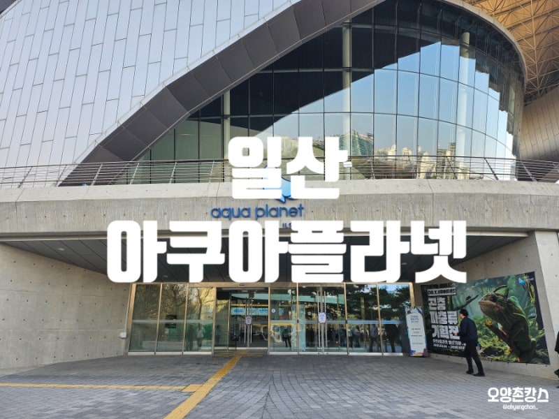 경기 고양 아이랑 갈만한 곳 '아쿠아 플라넷 일산' 아쿠아리움 주차 입장료 할인 공연시간 동....
