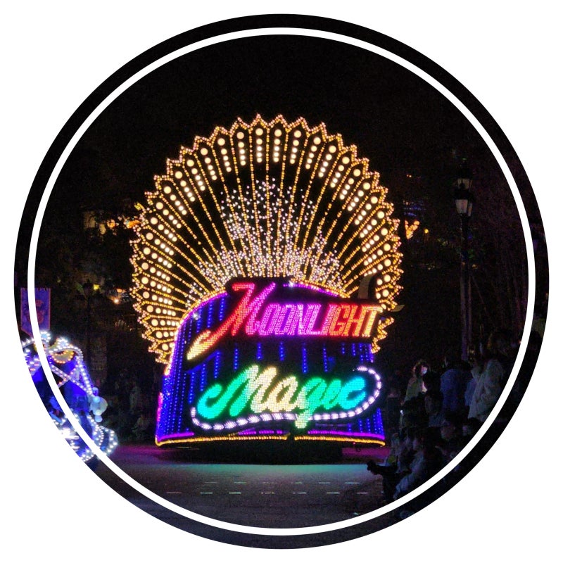 Everland Parade: Best Seats, Times, Routes, Locations, and Participation Review