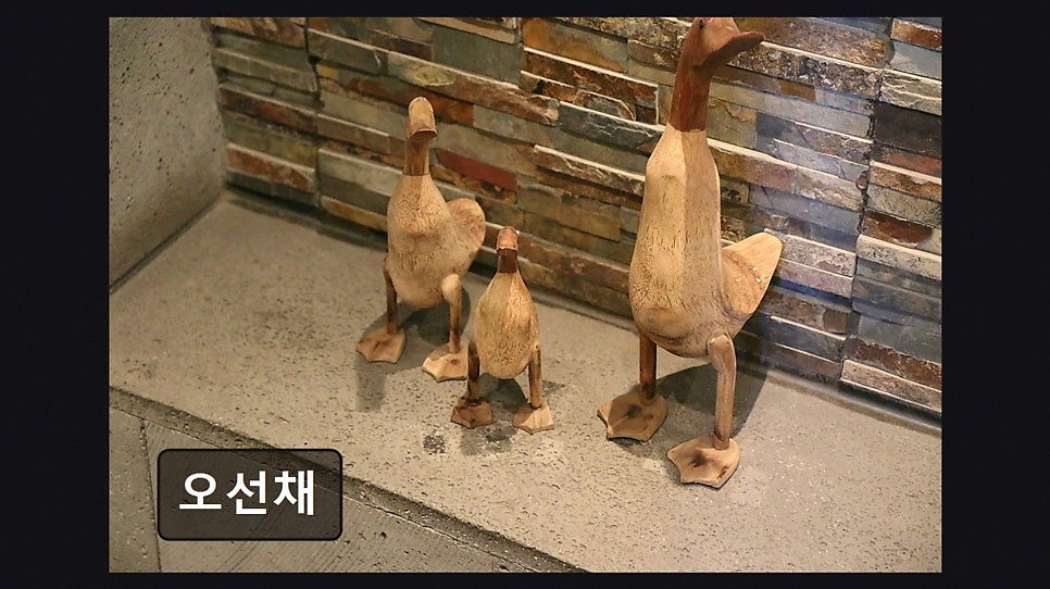 오선채 사진 6