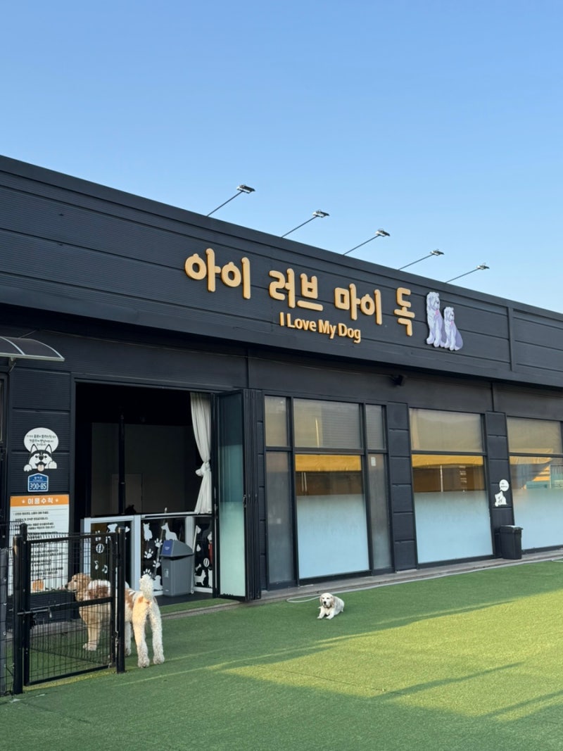 사진 7