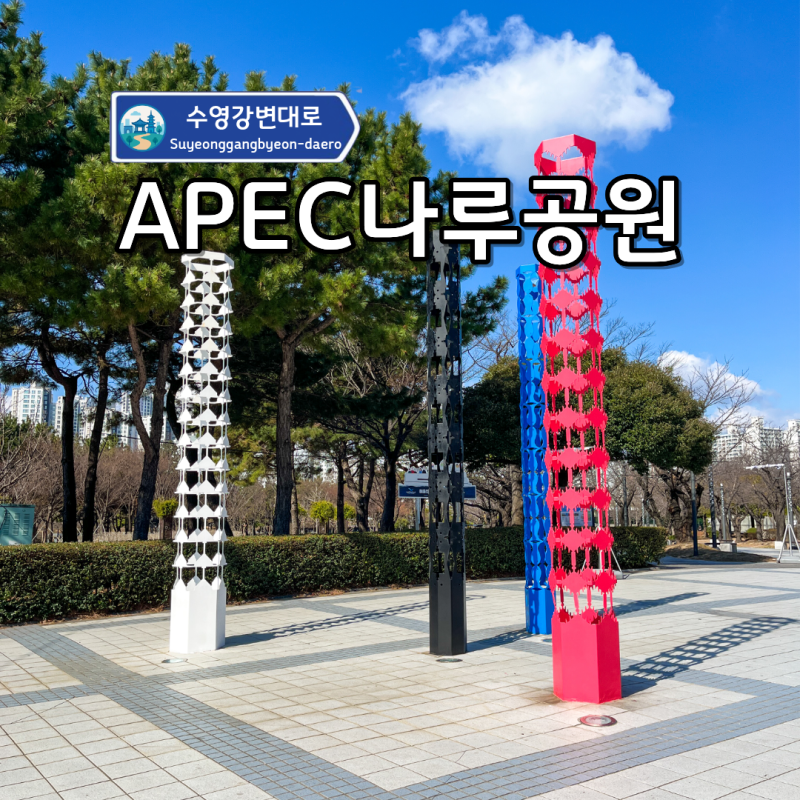 사진 7