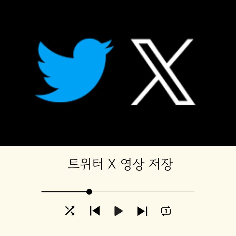 트위터 X 영상 저장 다운로드 사이트 동영상 화질 선택까지 가능한 방법