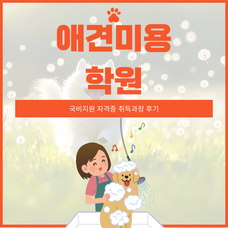 사진 7