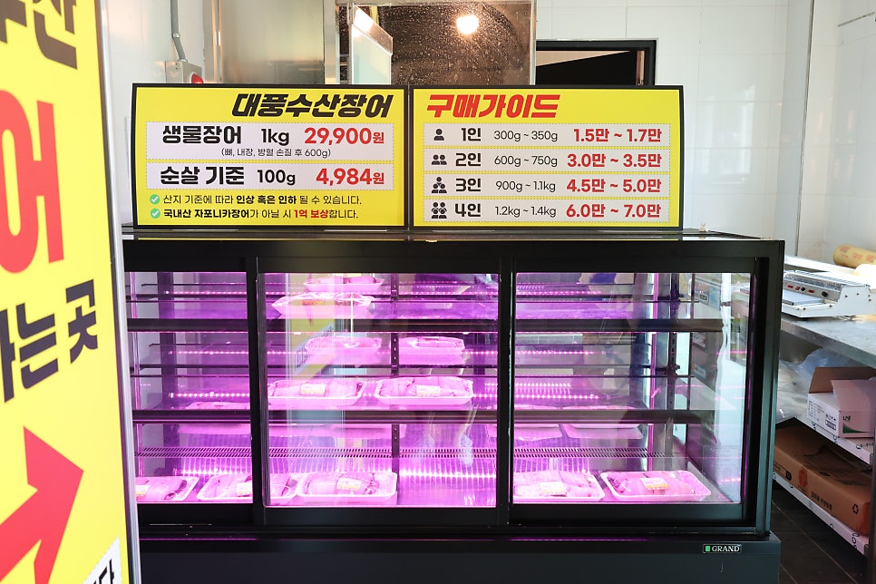 대풍장어 사진 4