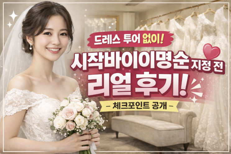  시작바이이명순 지정 전 체크포인트, 드레스투어 없이 괜찮을까