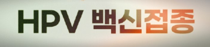  "5월 6일부터 12세 남학생 HPV 백신 무료! 2014년생 꼭 확인하세요"