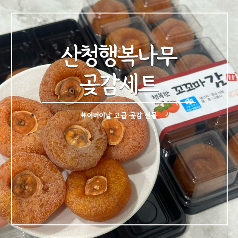 고급 어버이날 선물 곶감 선물세트 산청행복나무