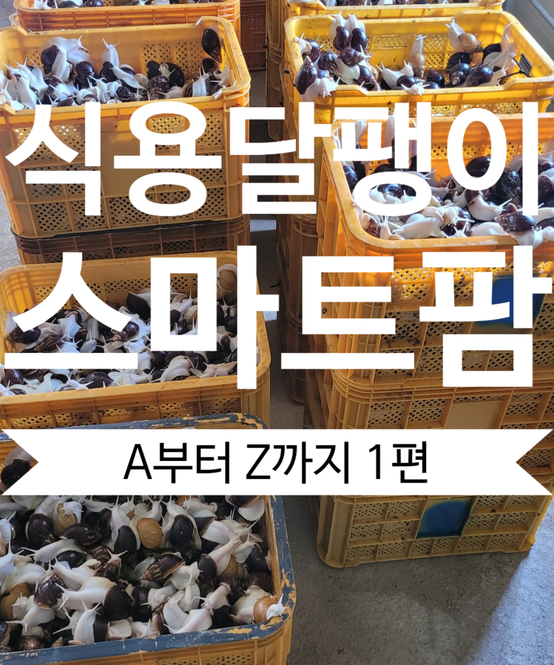 [식용달팽이 스마트팜 A부터 Z까지] 1편: 묻지마 투자는 NO! 두 눈으로 직접 확인하고 시작하는....
