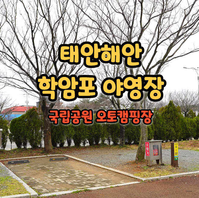 학암포 자동차 야영장 오토캠핑장 명당 추천 사이트 예약 방법