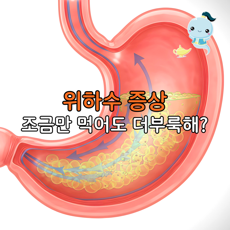 조금만 먹어도 더부룩? 위가 처지는 위하수 증상과 복근의 중요성