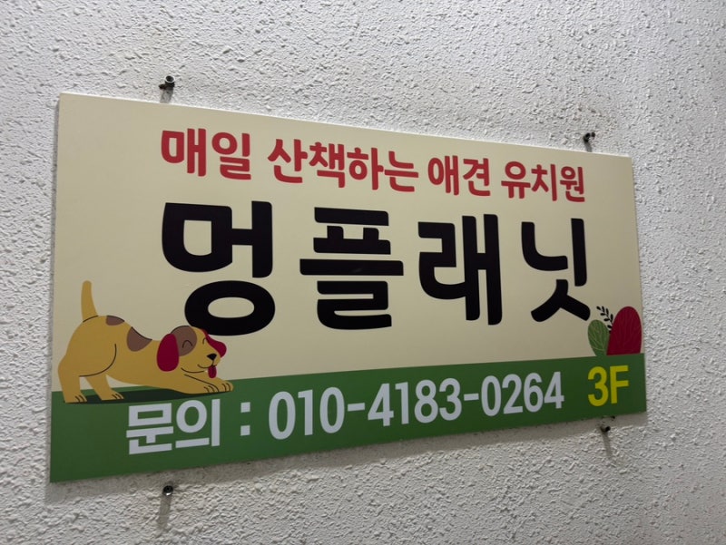 사진 3