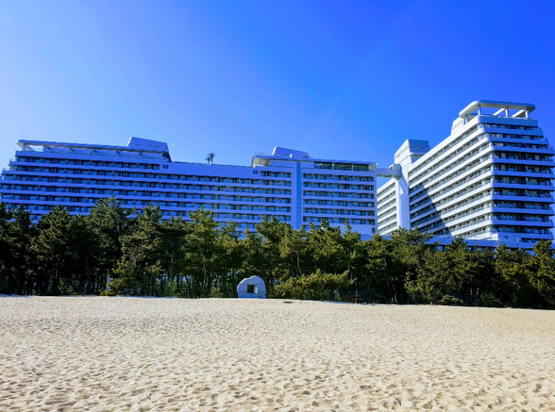 사진 3