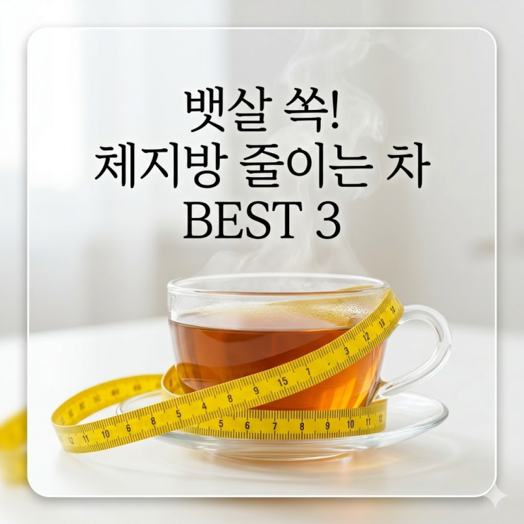  체지방 줄이는 차, 뱃살 삭제 실화? 맘카페 난리 난 부작용 없는 가성비 추천템 Top 3