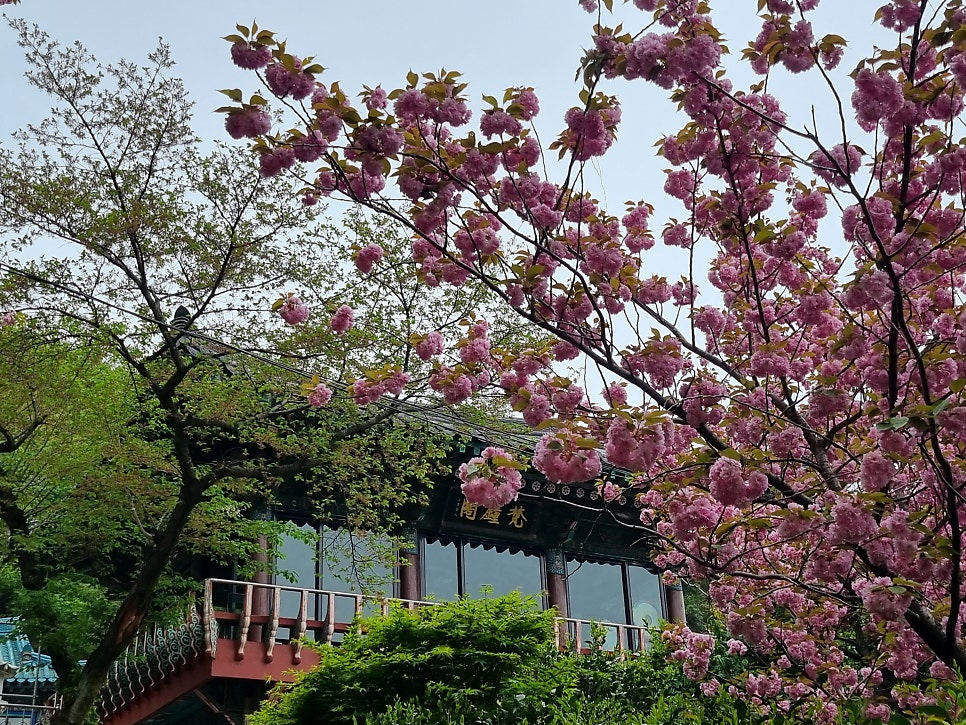 인디안카페 사진 1