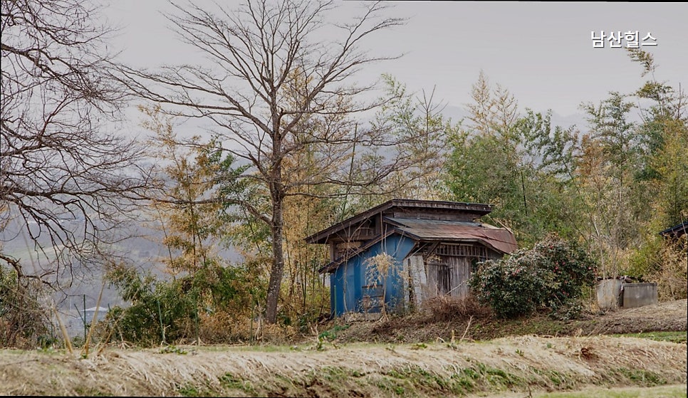 남산 사진 5